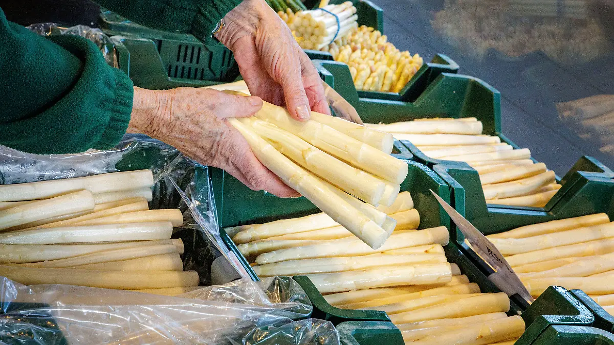 Eröffnung der Spargelsaison 2026 in Köln-Zündorf