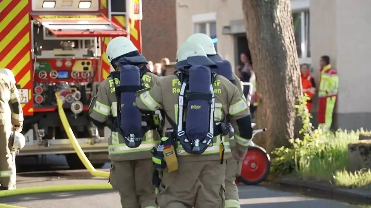 Katzen aus Brandwohnung gerettet Einsatz in Recklinghausen