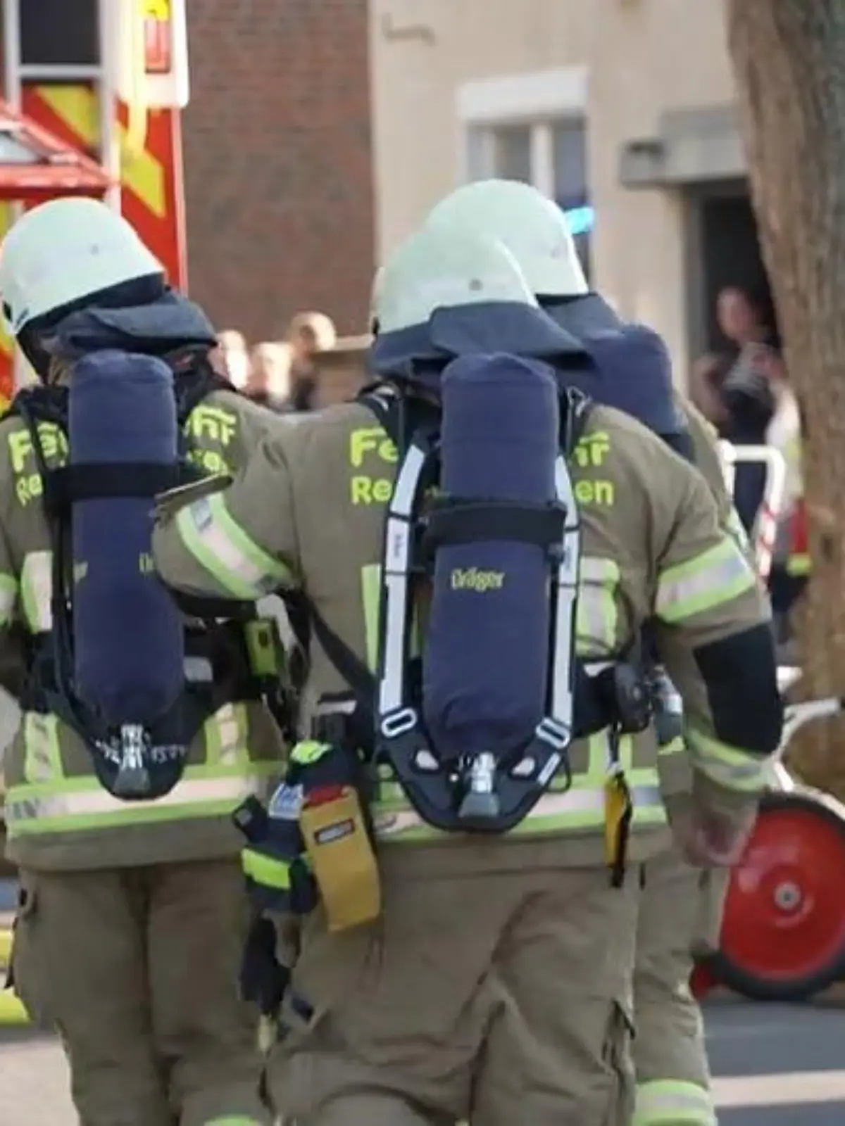 Bild zu: "Katzen aus Brandwohnung gerettet"