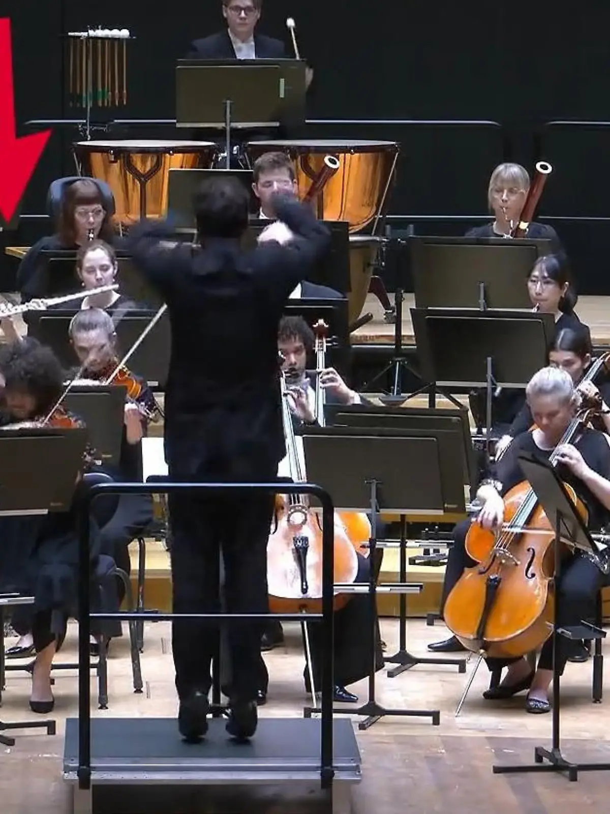 Bild zu: "Während Konzert! Dirigent schlägt Musikerin Millionen-Geige aus der Hand"