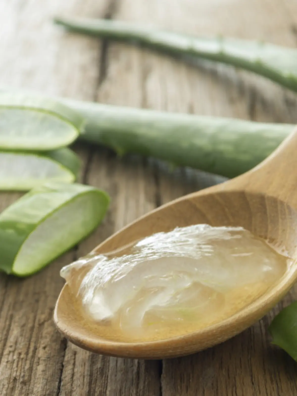 aloe vera gel on wooden spoon with aloe vera on wooden table