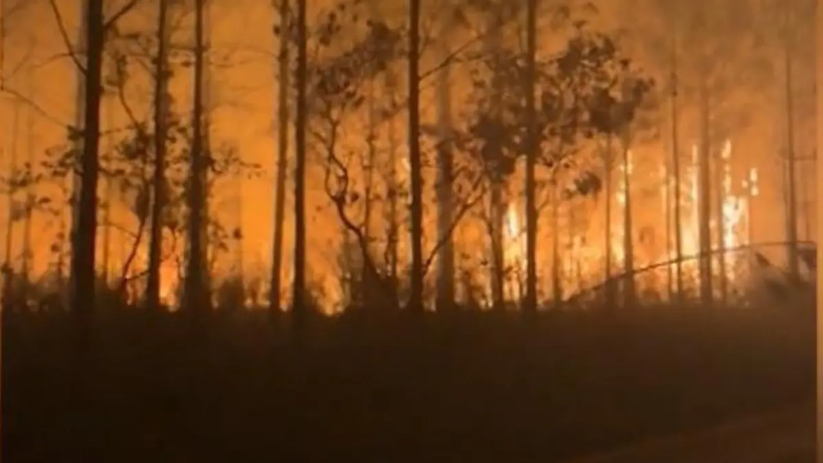 Waldbrände außer Kontrolle! Warnungen kommen nicht an – Tausende auf der Flucht Katastrophe im Südosten der USA