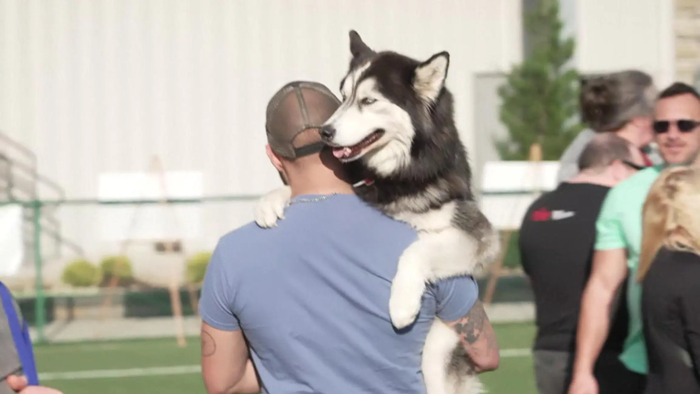 Soo süß! DIESE Hunde-Show stimmt Fans auf den NFL Draft ein Großer Spaß für den guten Zweck