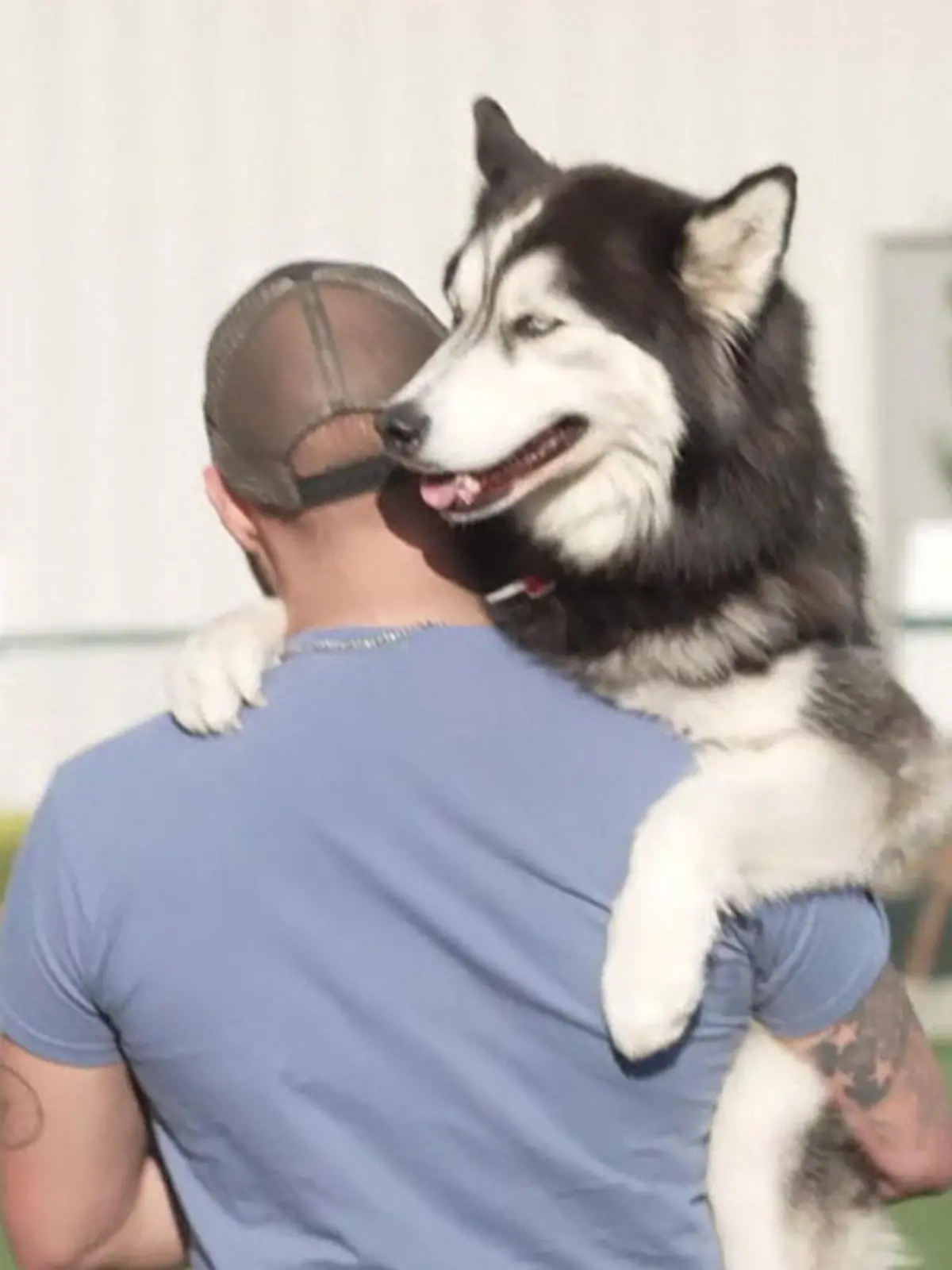 Bild zu: "Soo süß! DIESE Hunde-Show stimmt Fans auf den NFL Draft ein"