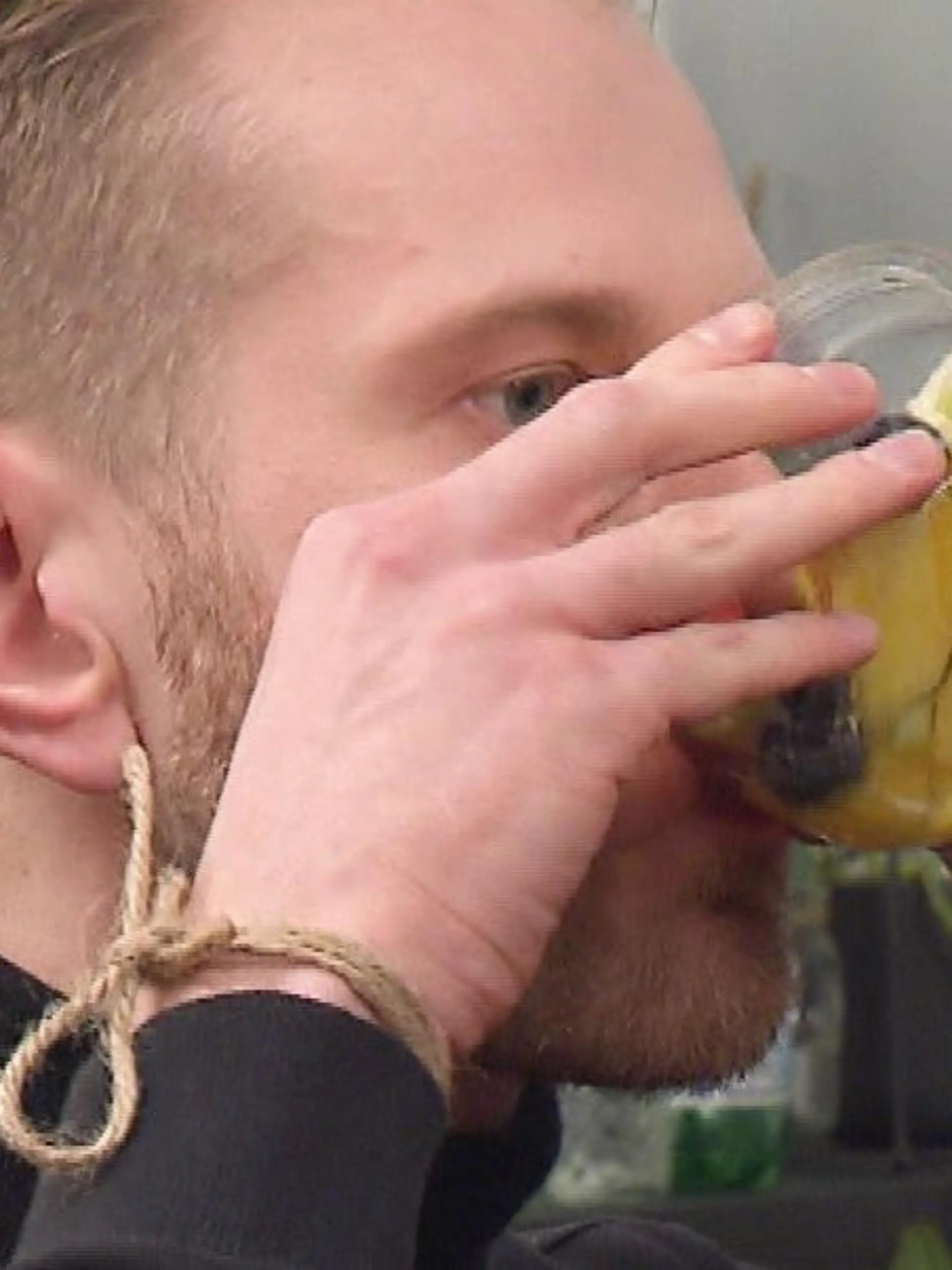 Bild zu: "Albert bringt seine eigene Nachspeise mit"