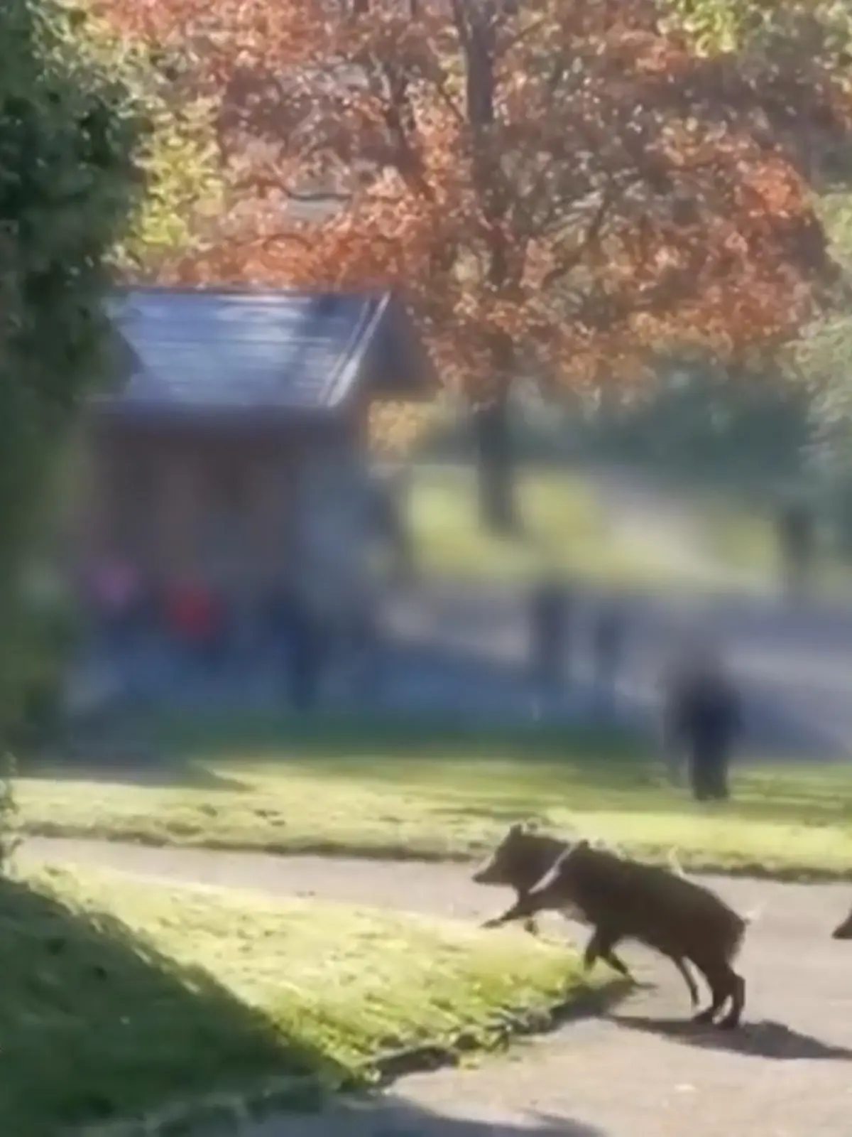 Bild zu: "Um diese Themen geht es heute bei Punkt 12"