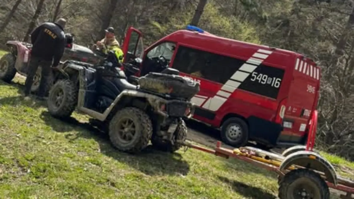 Tödlicher Bärenangriff in Polen 