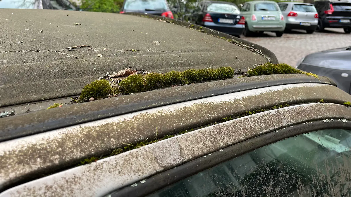 epi_1013308533_RTL_NORD HH REG__MoosAuto - 2.jpeg