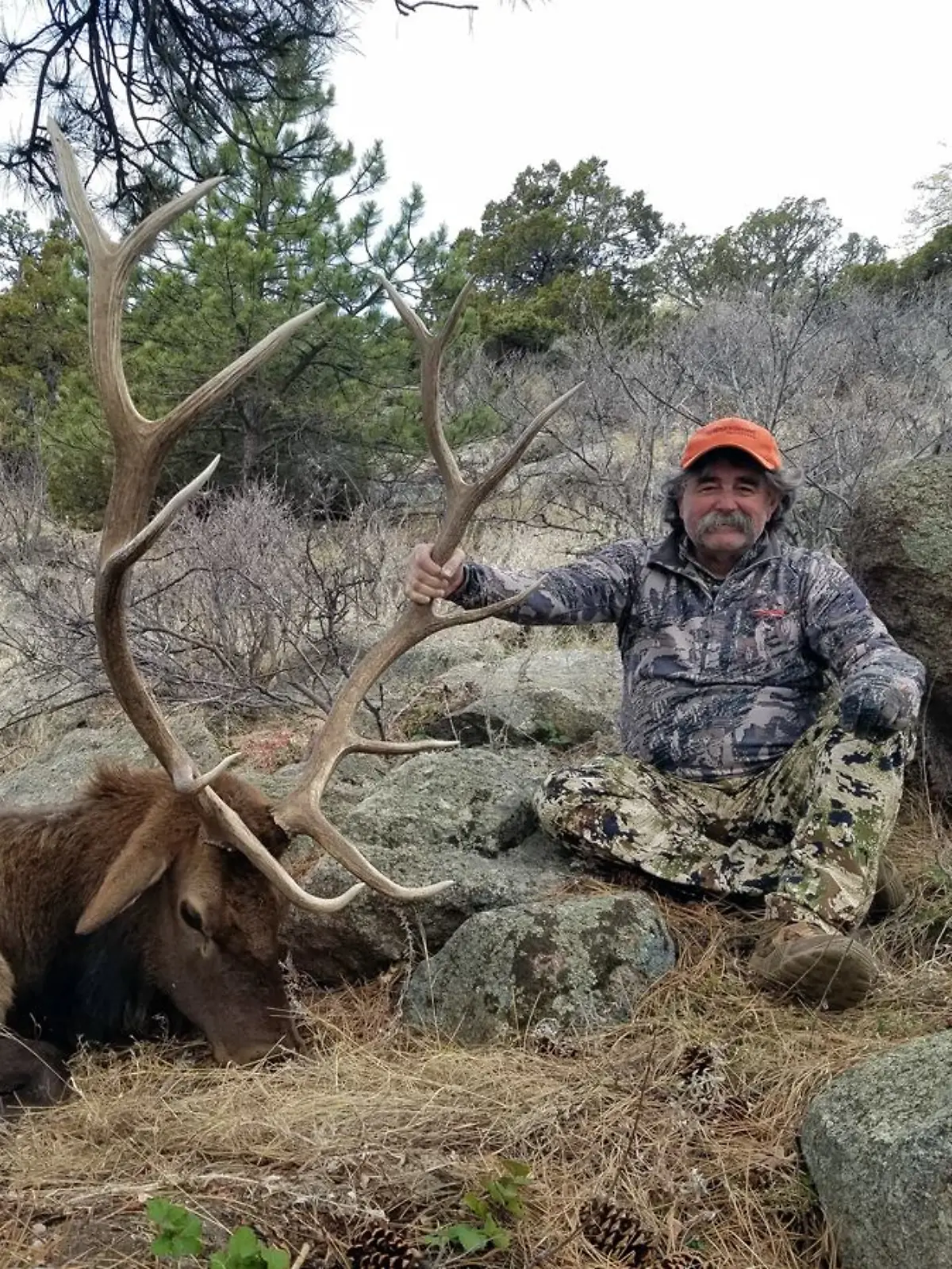 Ernie Dosio wird bei Jagdausflug von Elefanten getötet