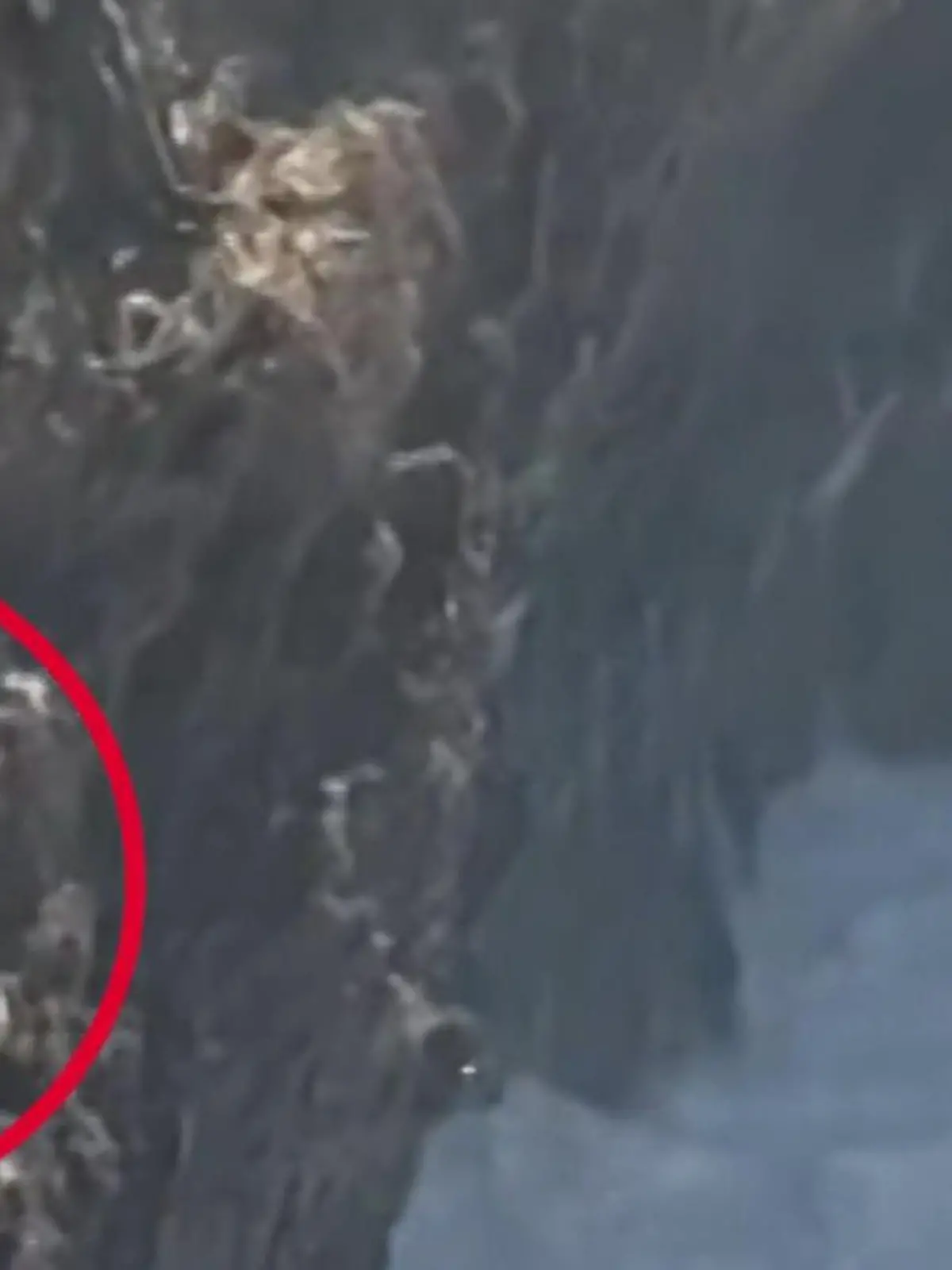 Bild zu: "An steiler Klippe gefangen! Großfamilie mit Kindern sitzt nach Spaziergang in der Falle"