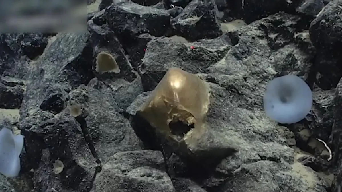 Nach zweieinhalb Jahren! Rätsel um mysteriöse Tiefsee-Goldkugel gelöst Fund sorgte für viele Spekulationen