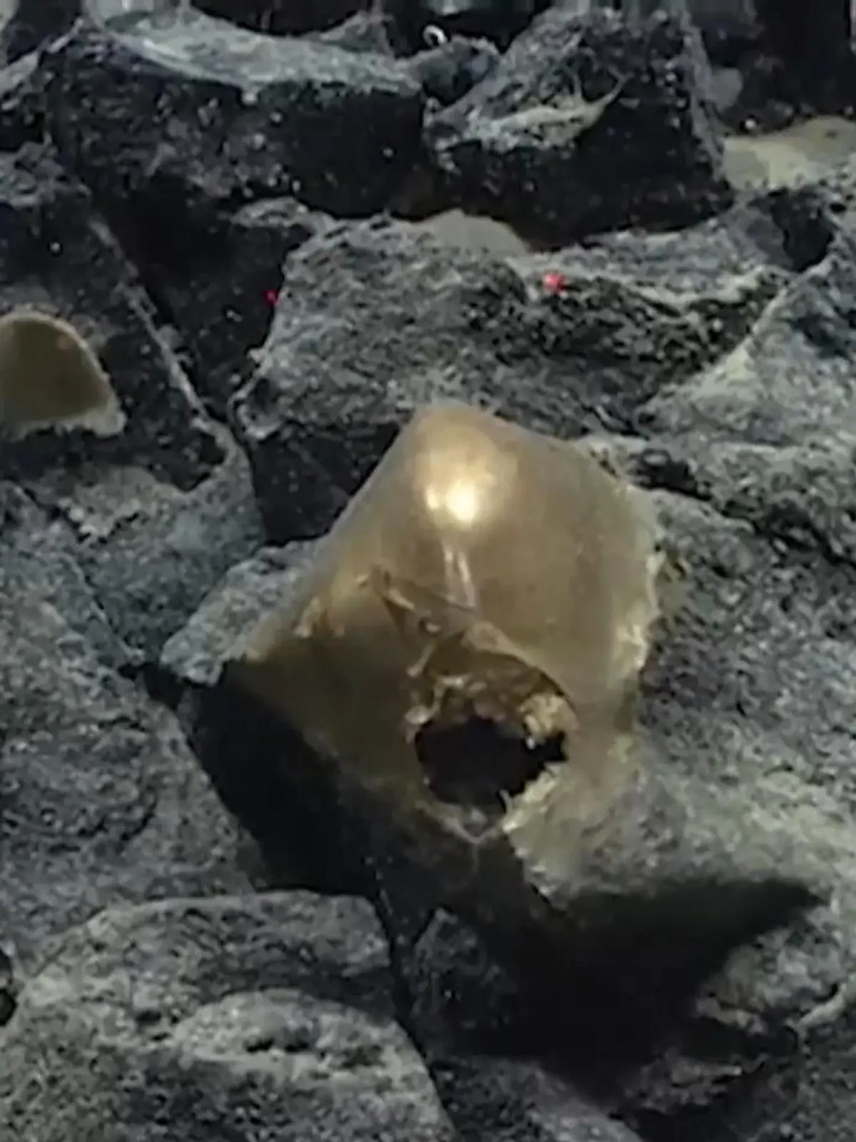 Bild zu: "Nach zweieinhalb Jahren! Rätsel um mysteriöse Tiefsee-Goldkugel gelöst"