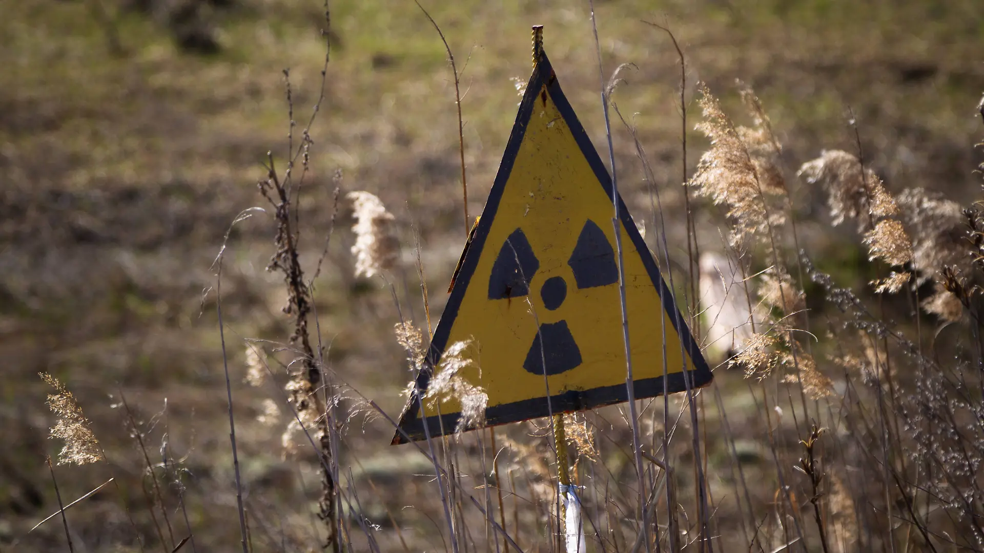 Chornobyl Exclusion Zone and abandoned city of Prypiat A radiation sign, or trefoil, marks the territory of the Temporary Radioactive Waste Localisation Point TRWLP Red Forest in the Kyiv region, Ukraine, on April 14, 2026. April 26, 2026, marks the 40th anniversary of the explosion of the fourth reactor at the Chornobyl Nuclear Power Plant, which occurred on April 26, 1986. The accident remains one of the most significant incidents in the history of nuclear energy. Kyiv region Ukraine PUBLICATIONxNOTxINxFRA Copyright: xKirillxChubotinx originalFilename: ukrinform-chornoby260414_npbgC.jpg