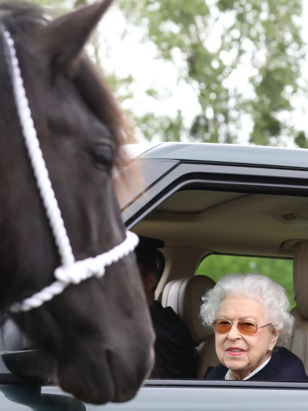  Entertainment Bilder des Tages . 13/05/2022. Windsor , United Kingdom. Queen Elizabeth II at the Royal Windsor Horse Show, United Kingdom. PUBLICATIONxINxGERxSUIxAUTxHUNxONLY xStephenxLockx/xi-Imagesx IIM-23398-0027