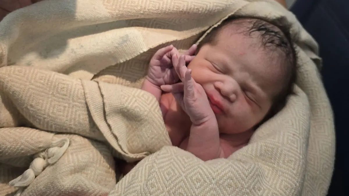 Hier ist die kleine Brielle wenige Minuten alt