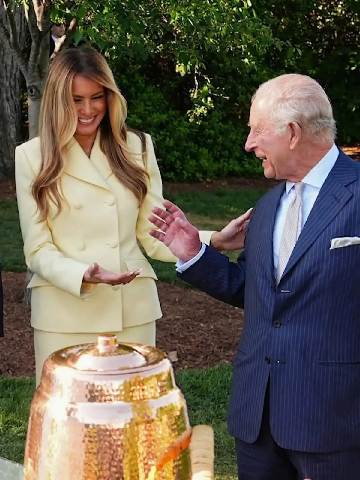 Bild zu: "Charles trifft Trump: Tee, Bienen und politische Spannungen"