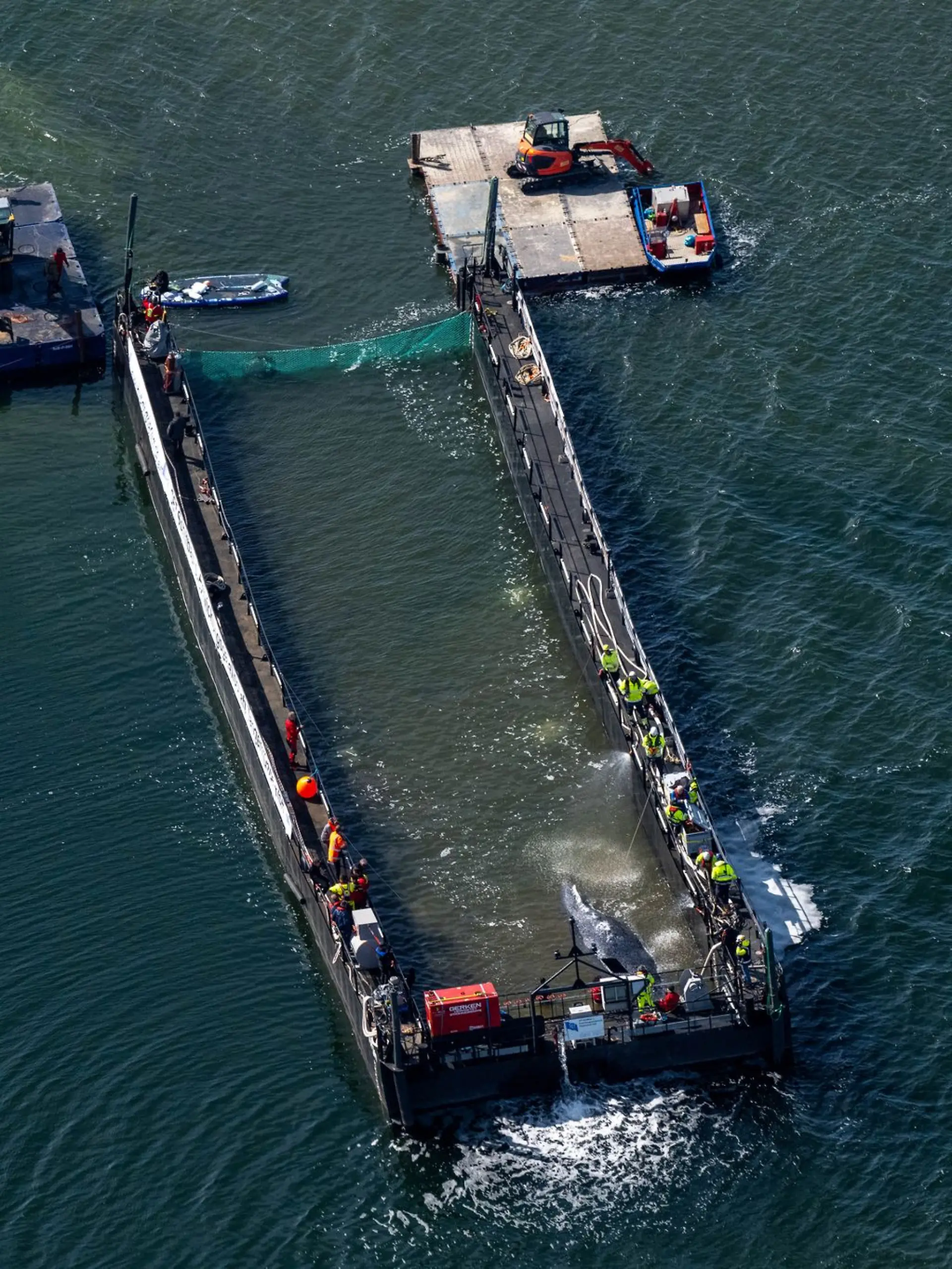 Bild zu: "Jetzt geht’s los! Gestrandeter Buckelwal fährt Richtung Nordsee"
