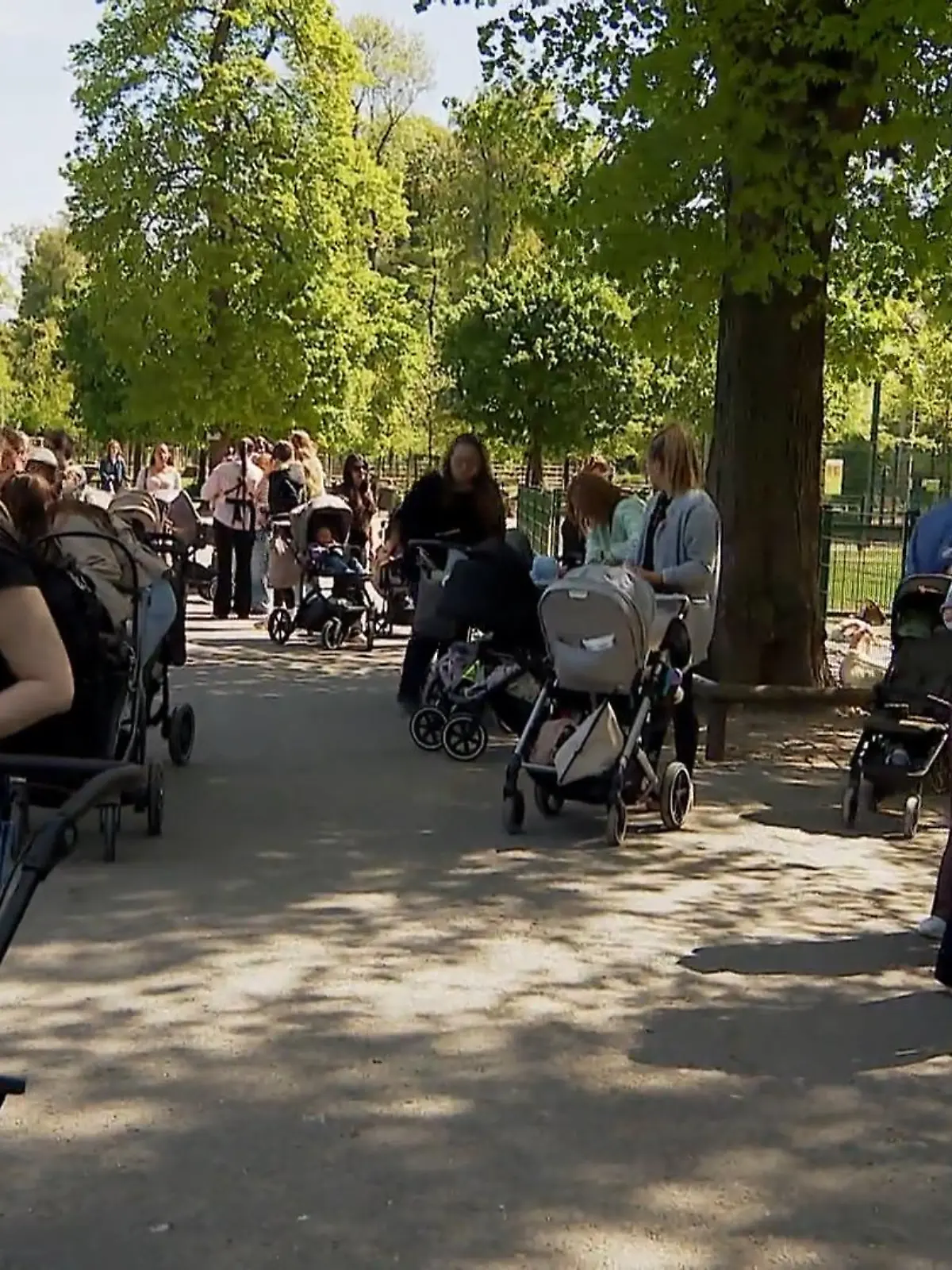 Bild zu: "„Mamacita Walk“ für junge Mütter"