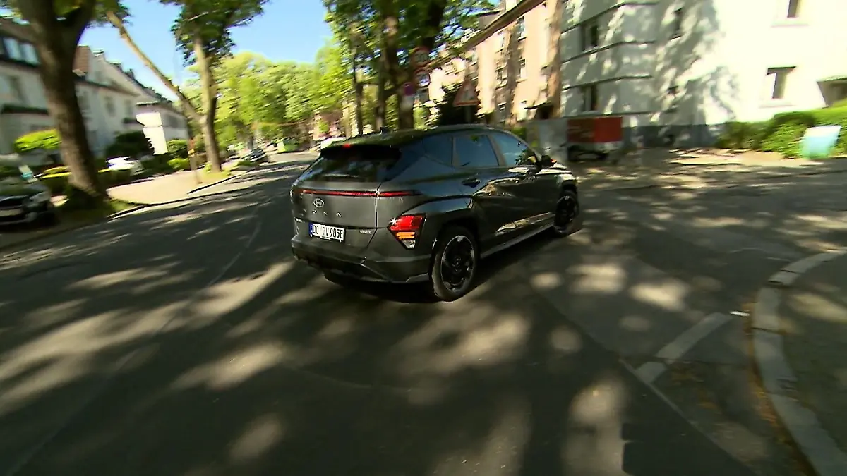 Katze angehupt – Bußgeld! Skurriles Knöllchen