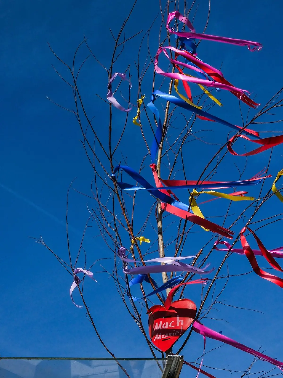 Bild zu: "Maibaum-Tradition in NRW"