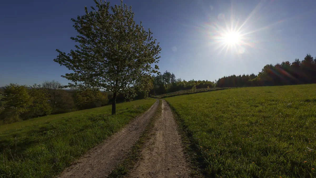 Fruehling (Frühling) im Siegerland. Ein Traumhaft sonniger Morgen. Die Wiesen und Baeume (Bäume) rund um Siegen-Oberschelden sind gruen (grün). Der Himmel ist blau und wolkenlos. Die Sonne strahlt vom Himmel. Fruehling (Frühling) am 29.04.2026 in Siegen/Deutschland.