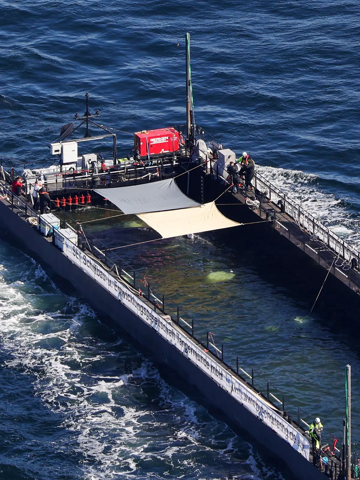 Die Sonnensegel über der Barge schützen Timmys ohnehin ramponierte Haut vor weiterer Sonneneinstrahlung während des mehrtägigen Transports.