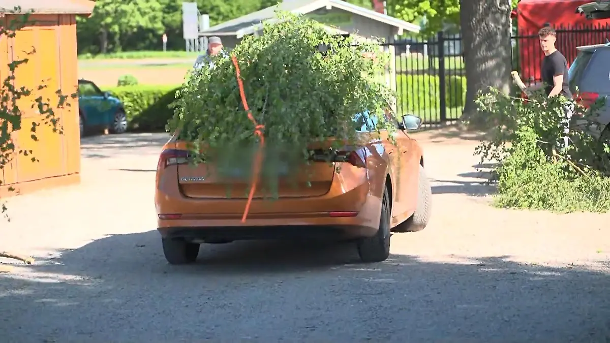 Maibaum-Tradition in NRW Im Zeichen der Liebe