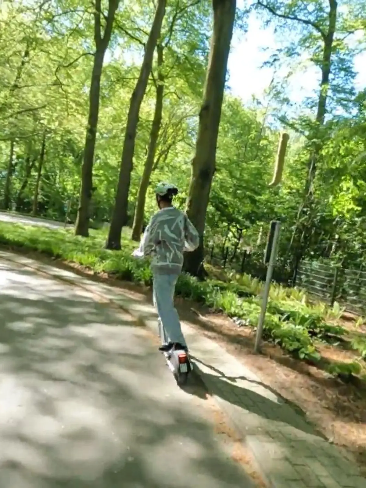 Bild zu: "E-Scooter-Kurs für Schüler"