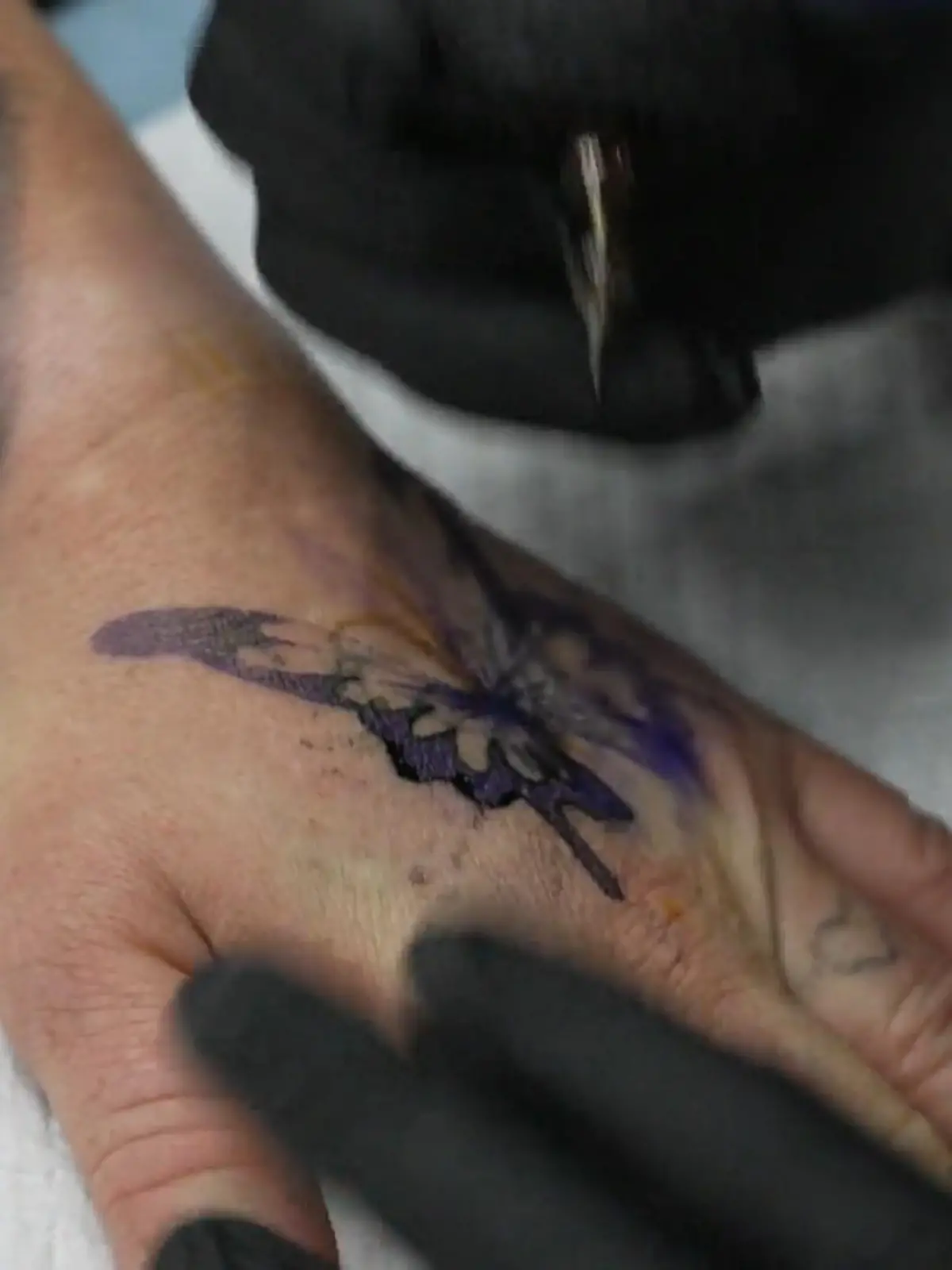 Bild zu: "Profi rettet Temu Motiv"