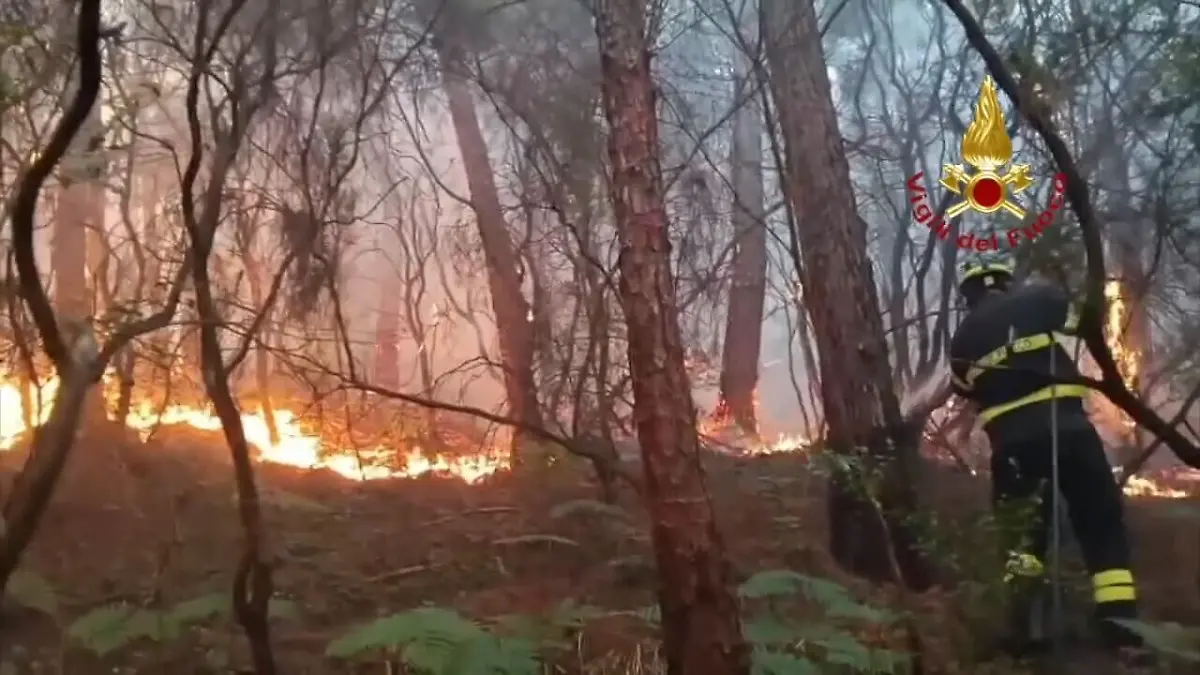 Auf diesem Bild aus einem Video der italienischen Feuerwehr ist ein Feuerwehrmann bei einem Waldbrand im Einsatz. In der Toskana müssen wegen eines Waldbrands mehr als 3.500 Menschen ihre Häuser verlassen. +++ dpa-Bildfunk +++