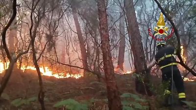 Waldbrand in der Toskana: Mehr als 3.500 Menschen müssen Häuser verlassen