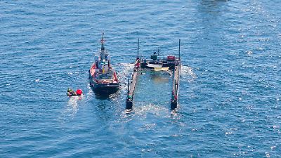 Gestrandeter Wal Timmy: Freilassung von Barge scheitert beim ersten Versuch