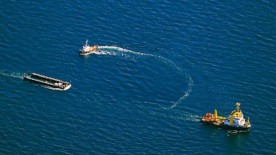 Gestrandeter Ostsee-Wal Timmy: Konvoi zur Freisetzung in der Nordsee auf Kurs nach Norwegen