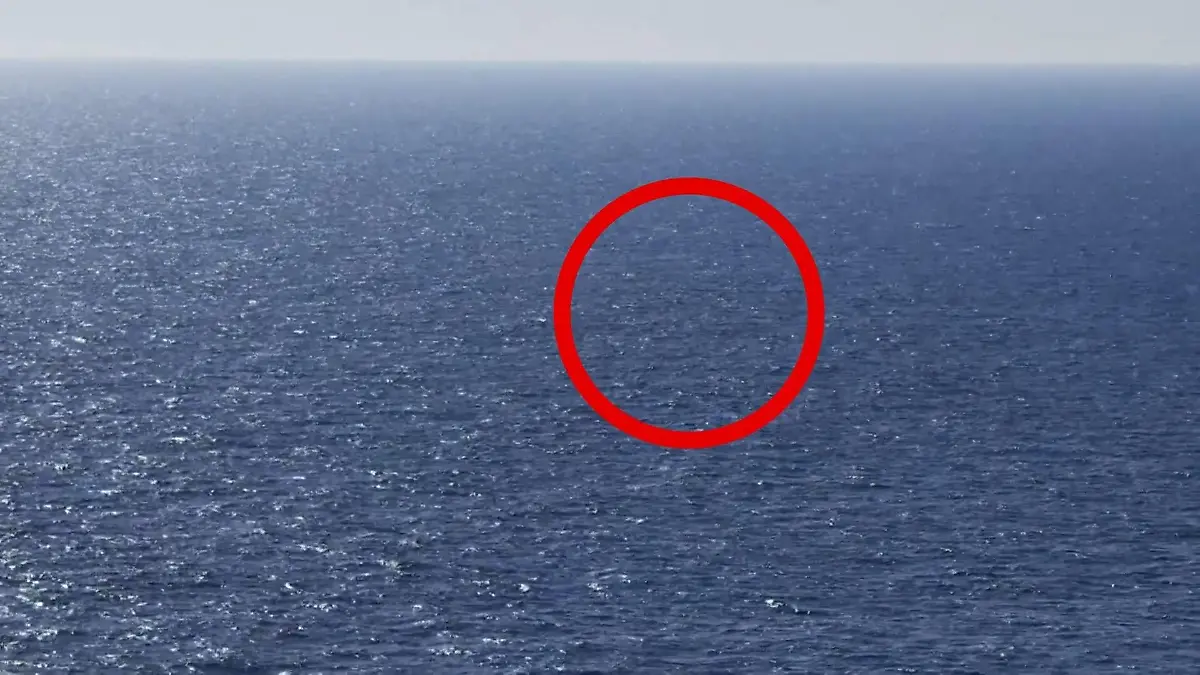 Buckelwal Timmy ist frei – endlich schwimmt er in der Nordsee! Nach wochenlanger Rettungsaktion