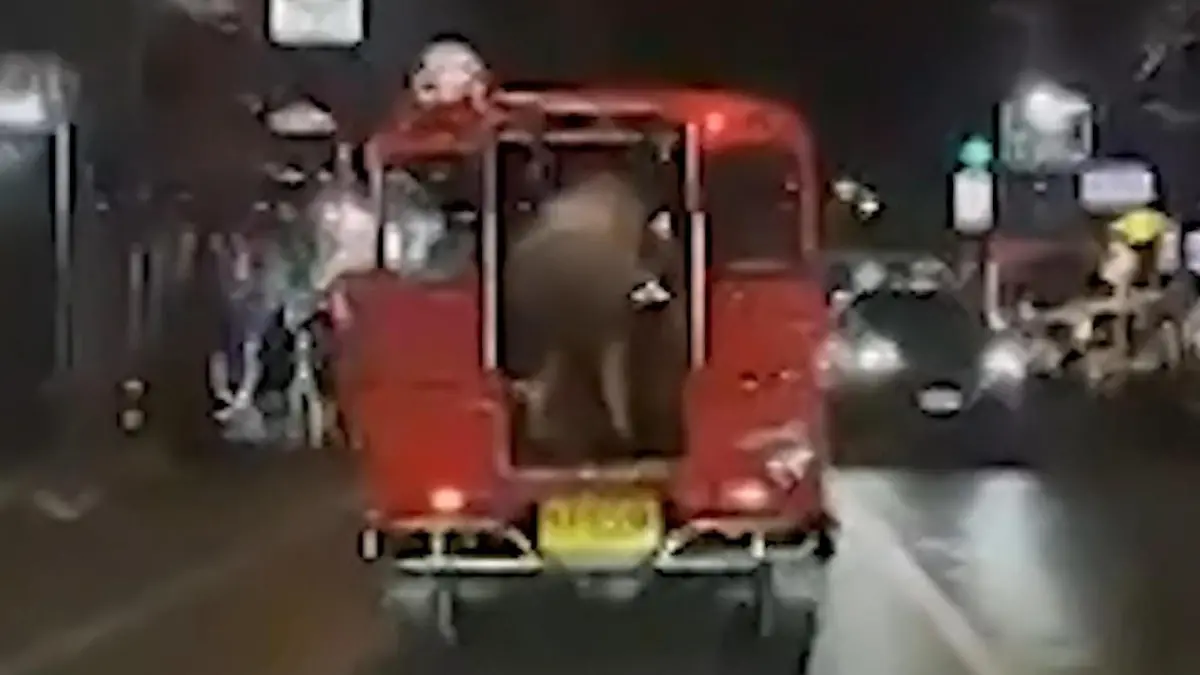 Po-Parade im Tuk-Tuk! Touristinnen liefern verbotene Stripshow ab Nackt im Straßenverkehr