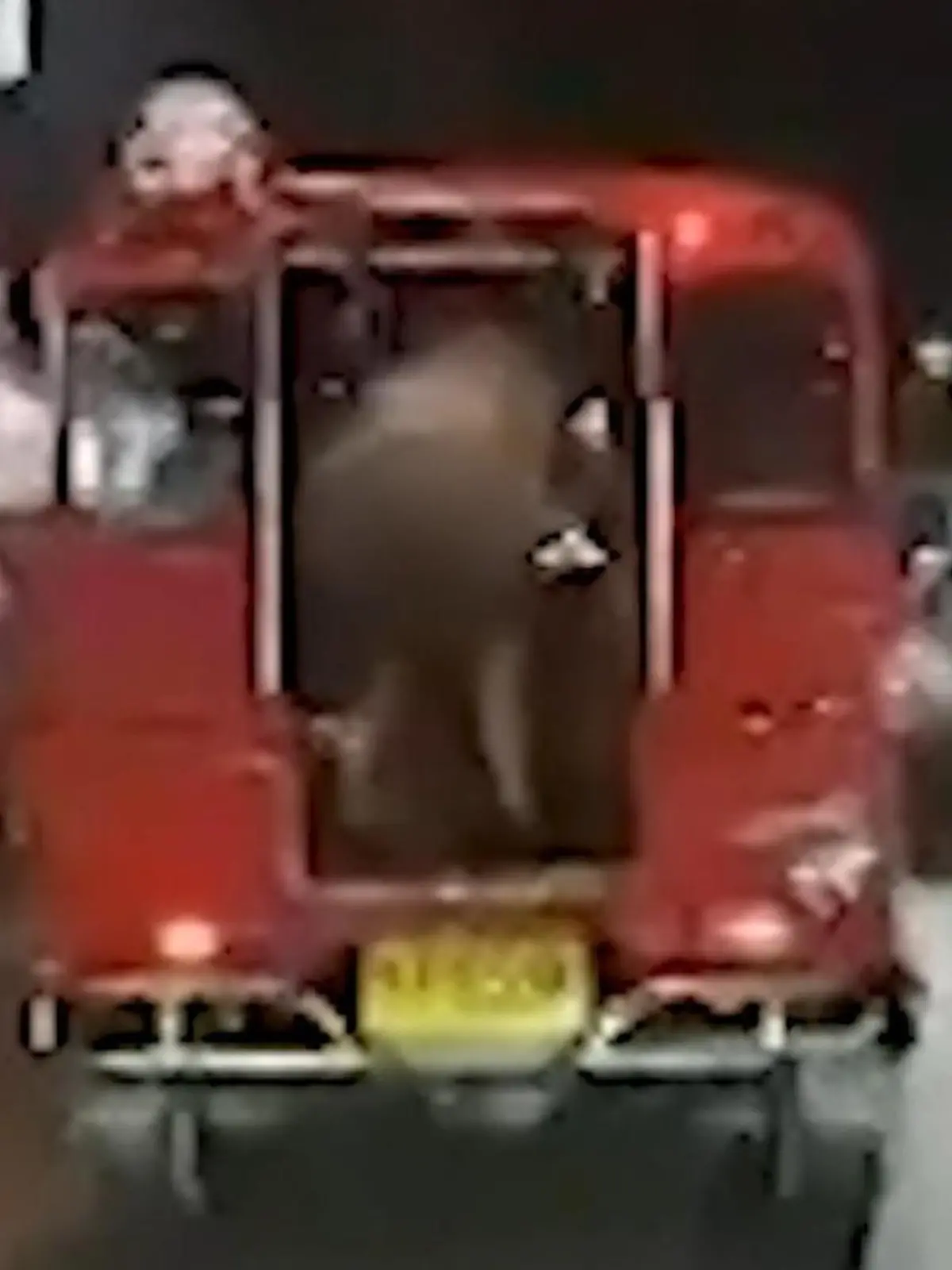 Bild zu: "Po-Parade im Tuk-Tuk! Touristinnen liefern verbotene Stripshow ab"