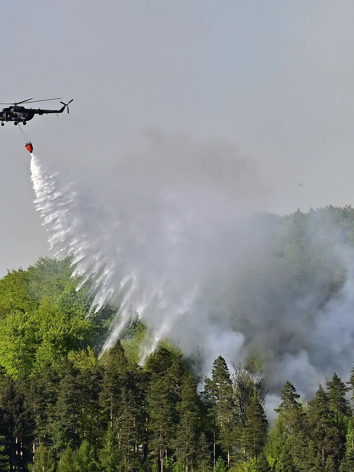 Ein Hubschrauber fliegt mit einem Löschwasser-Behälter über ein Waldgebiet in dem es im Nationalpark Böhmische Schweiz brennt. +++ dpa-Bildfunk +++