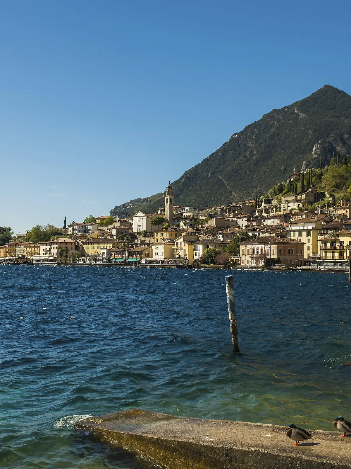 Bild zu: "Kräftig „durchgerührt“! Naturwunder am Gardasee"