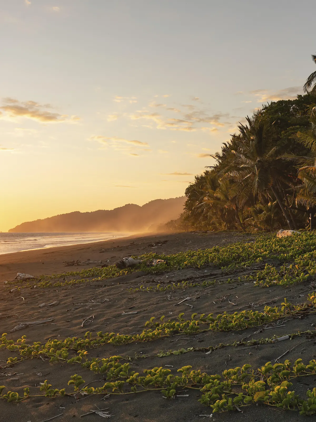 Sonnenuntergang am Strand in Costa Rica