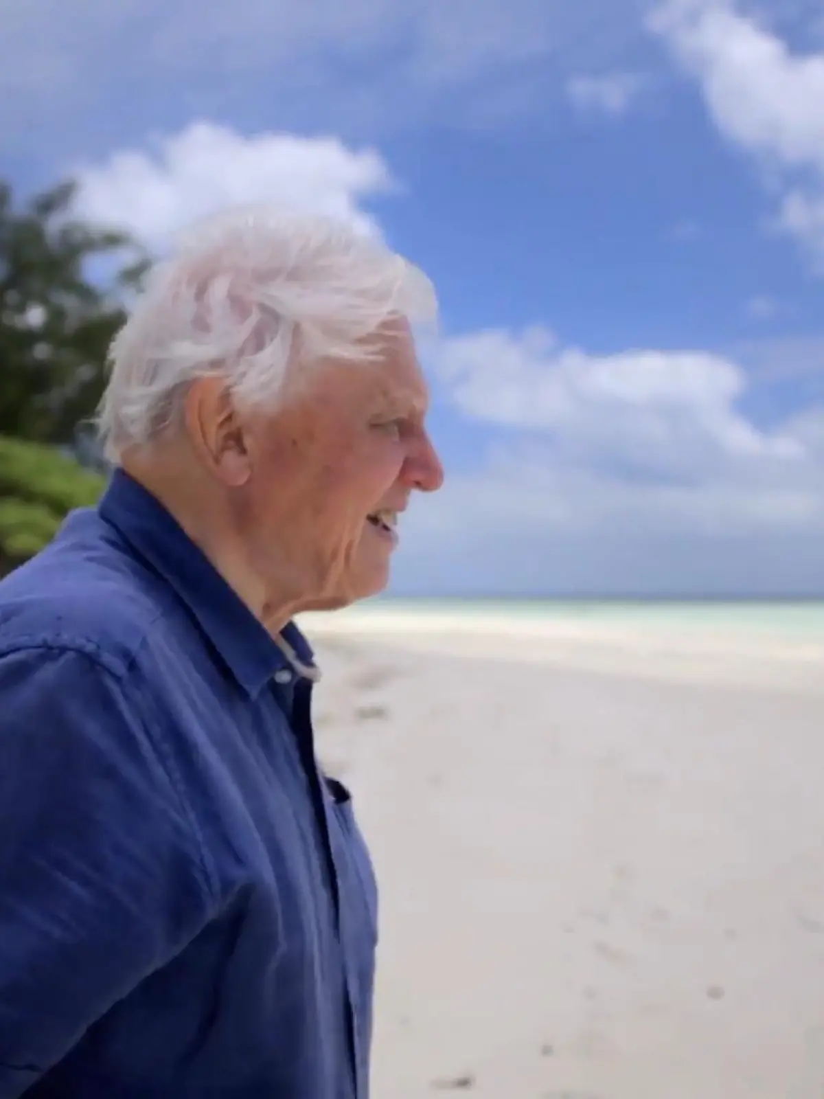 Bild zu: "David Attenborough"