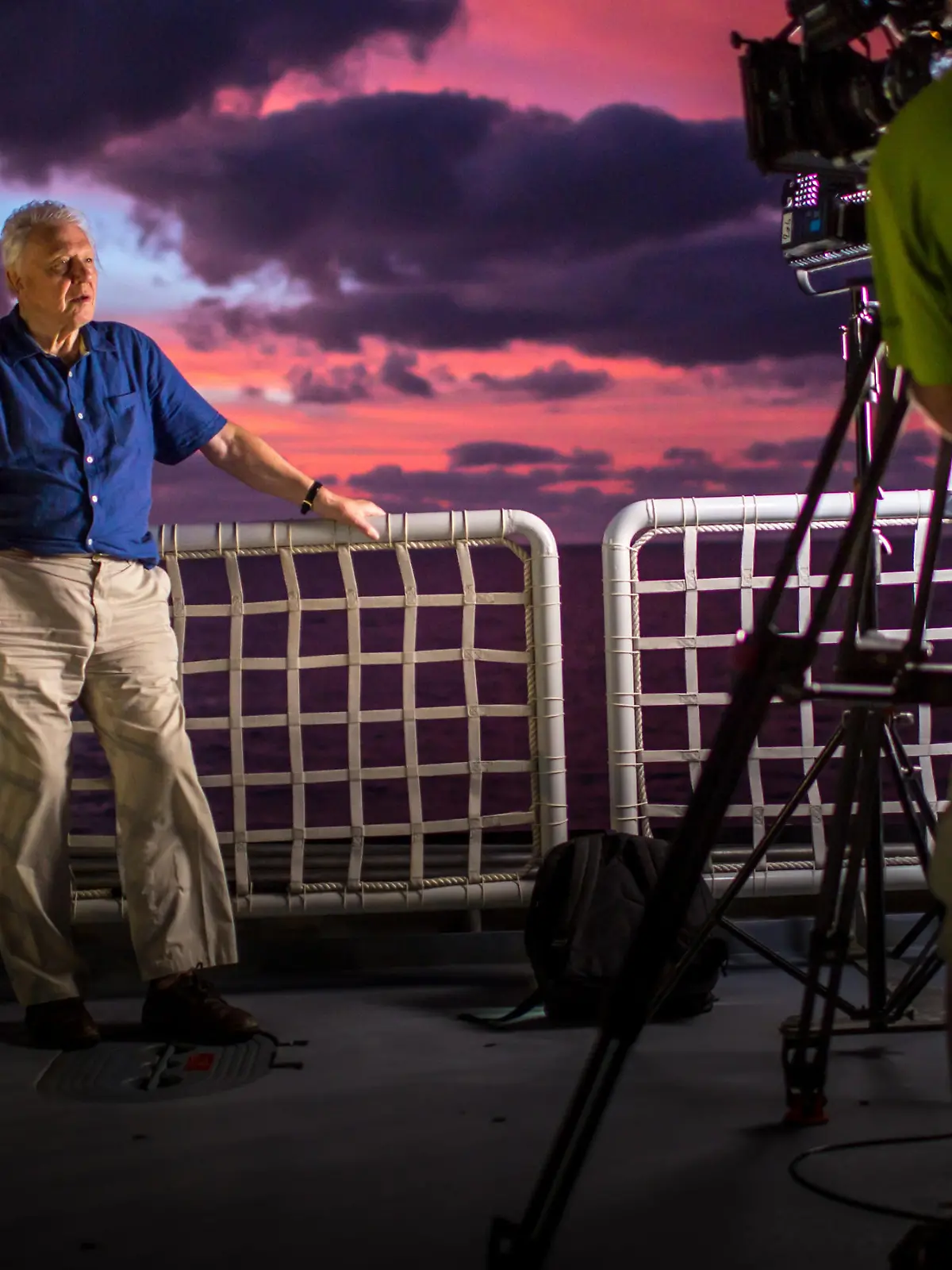 Bild zu: "David Attenborough - Ein Leben für Planet Erde"