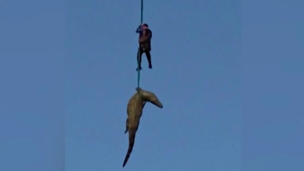 Killer-Krokodil als Menschenfresser? Hotelboss im Magen – dann entdecken Ermittler DAS! Reptil wog 500 Kilogramm