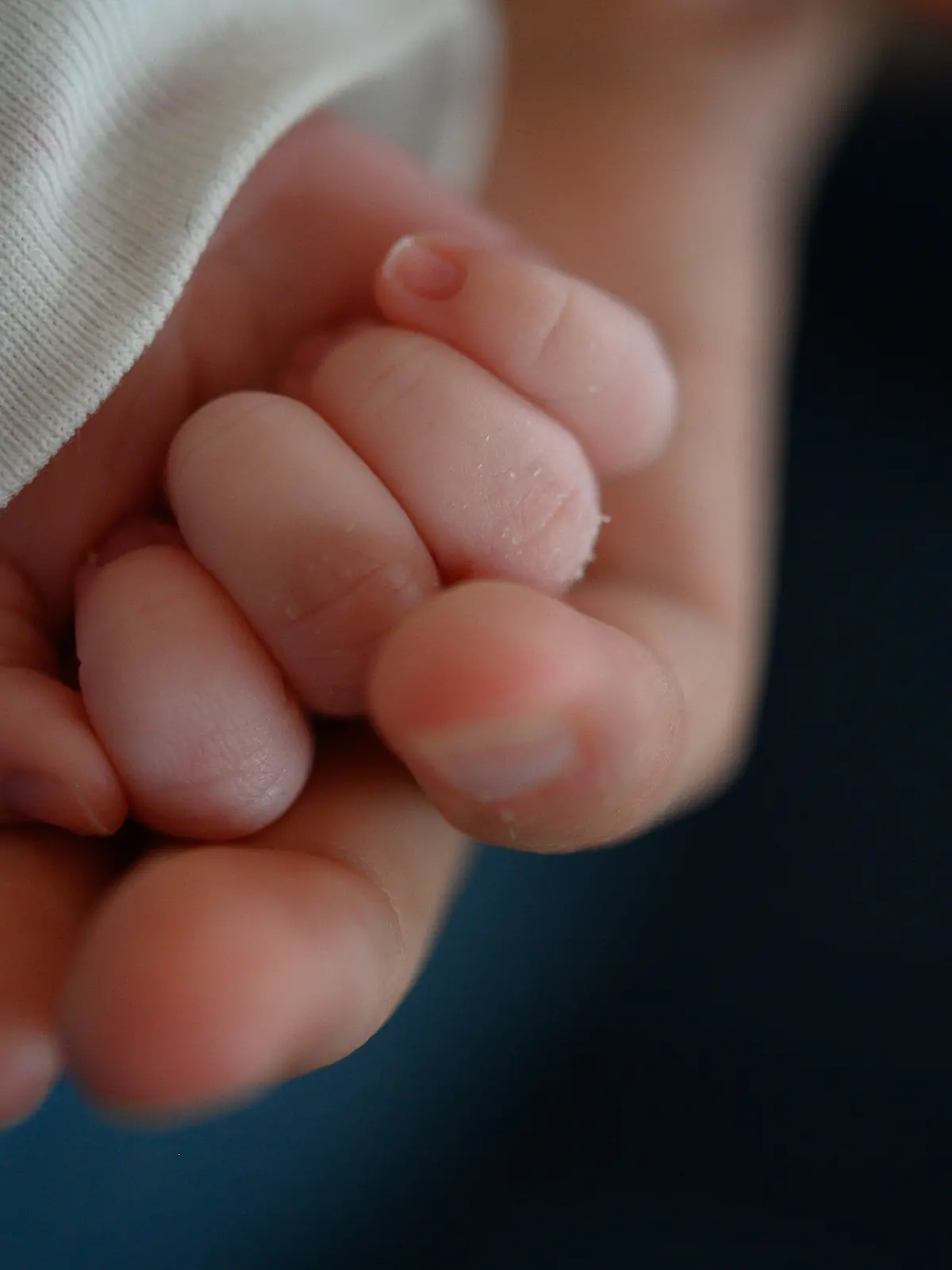 ARCHIV - 02.02.2020, Baden-Württemberg, Stuttgart: ILLUSTRATION - Die Hand eines zwei Wochen alten Neugeborenen liegt in der Hand seiner Mutter. (zu dpa: «Koalition streitet über Steuererleichterungen für Firmen und Kindergrundsicherung») Foto: Sebastian Gollnow/dpa +++ dpa-Bildfunk +++
