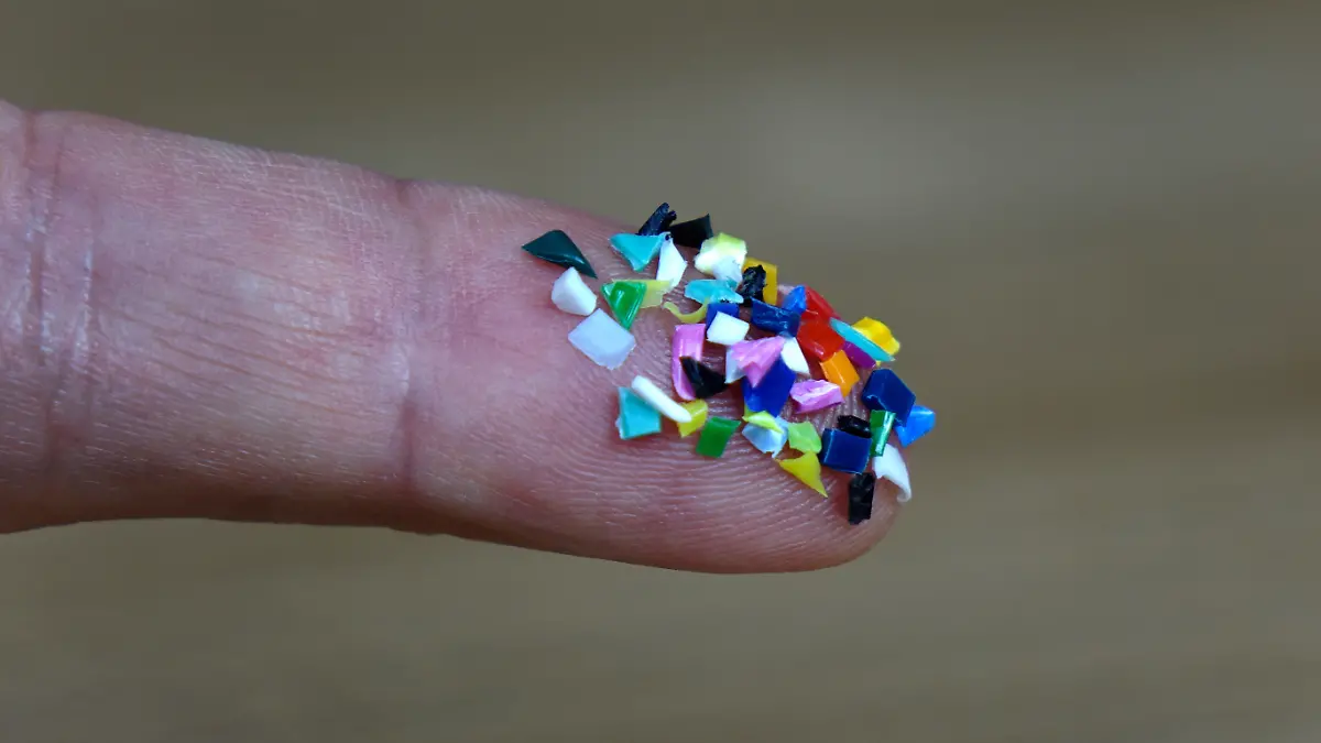 19.04.2024, Borkwalde, Brandenburg, Auf einem Zeigefinger befindet sich Mikroplastik.