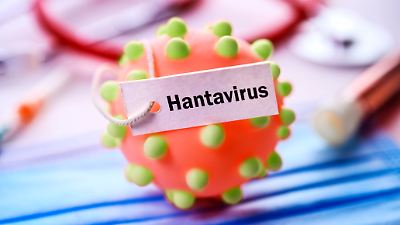 Hantavirus-Ansteckung auch in Deutschland möglich! Wie schützen?