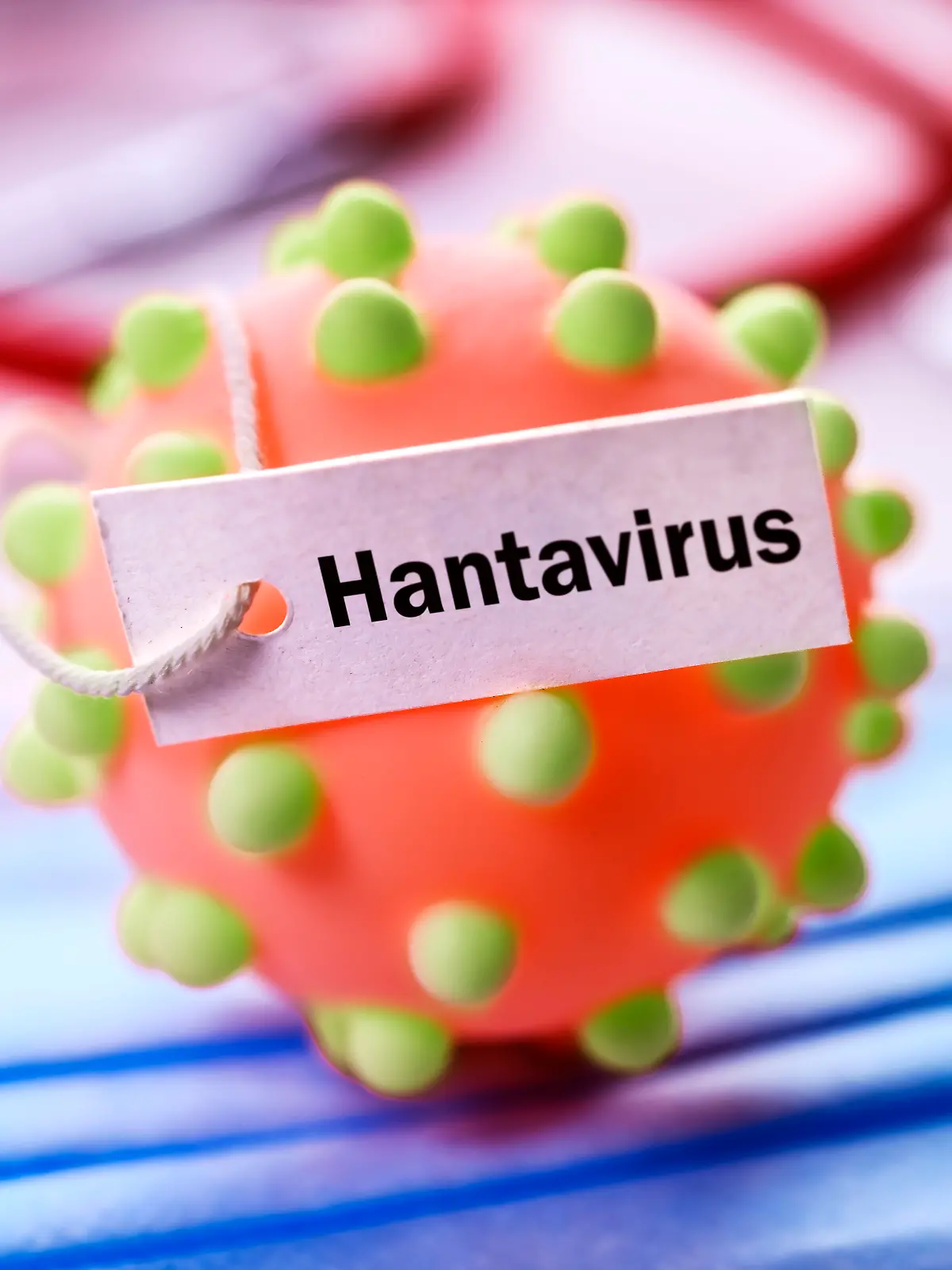 Das Ende einer Traumreise: Das Hantavirus - Symbolbild