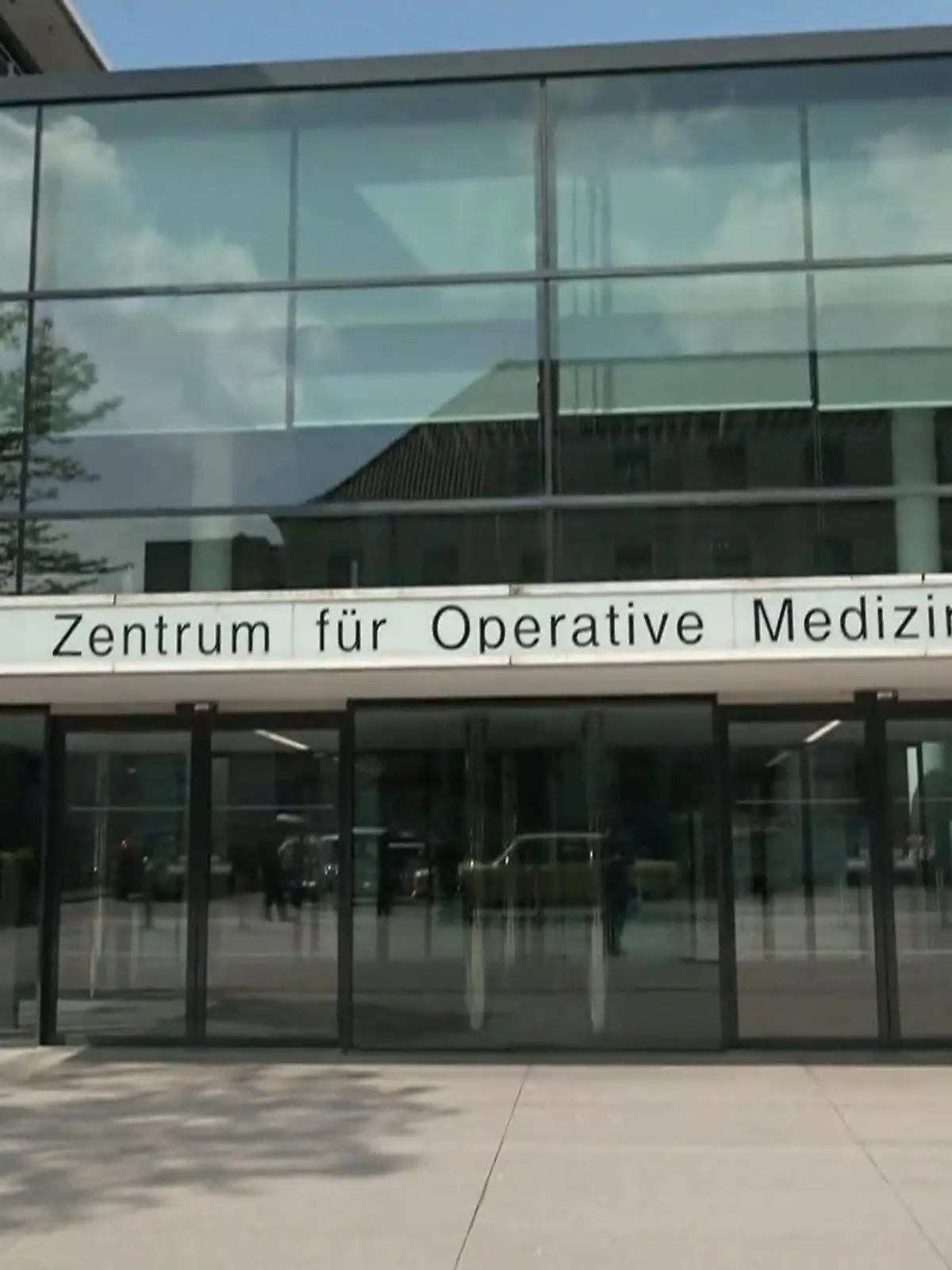 Bild zu: "Gefahr Hantavirus"