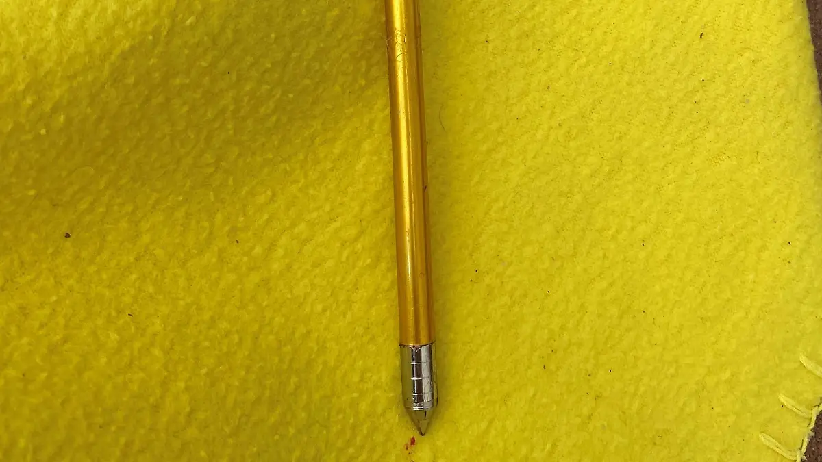 Der vermutlich gezielt abgeschossene Aluminiumpfeil traf die braungetupfte Rassekatze an der Flanke und blieb dort stecken.