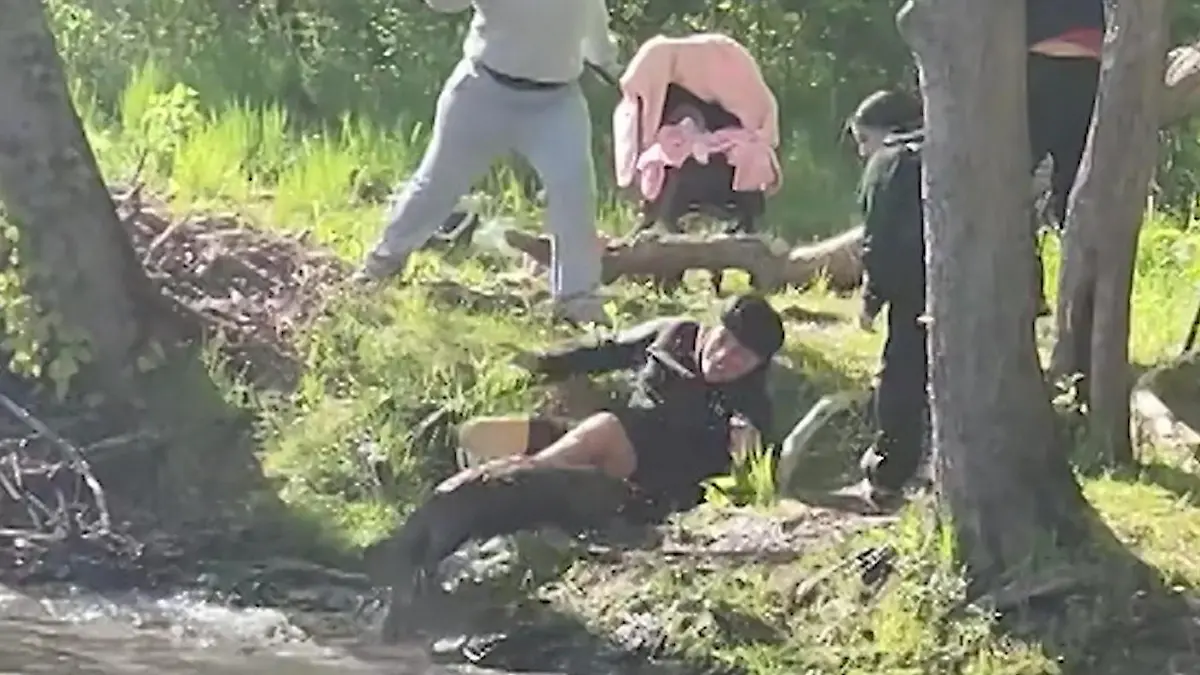 Tollwut-Biber jagt Jungen – Familie kann sich nur SO wehren! Nager schießt plötzlich aus Fluss