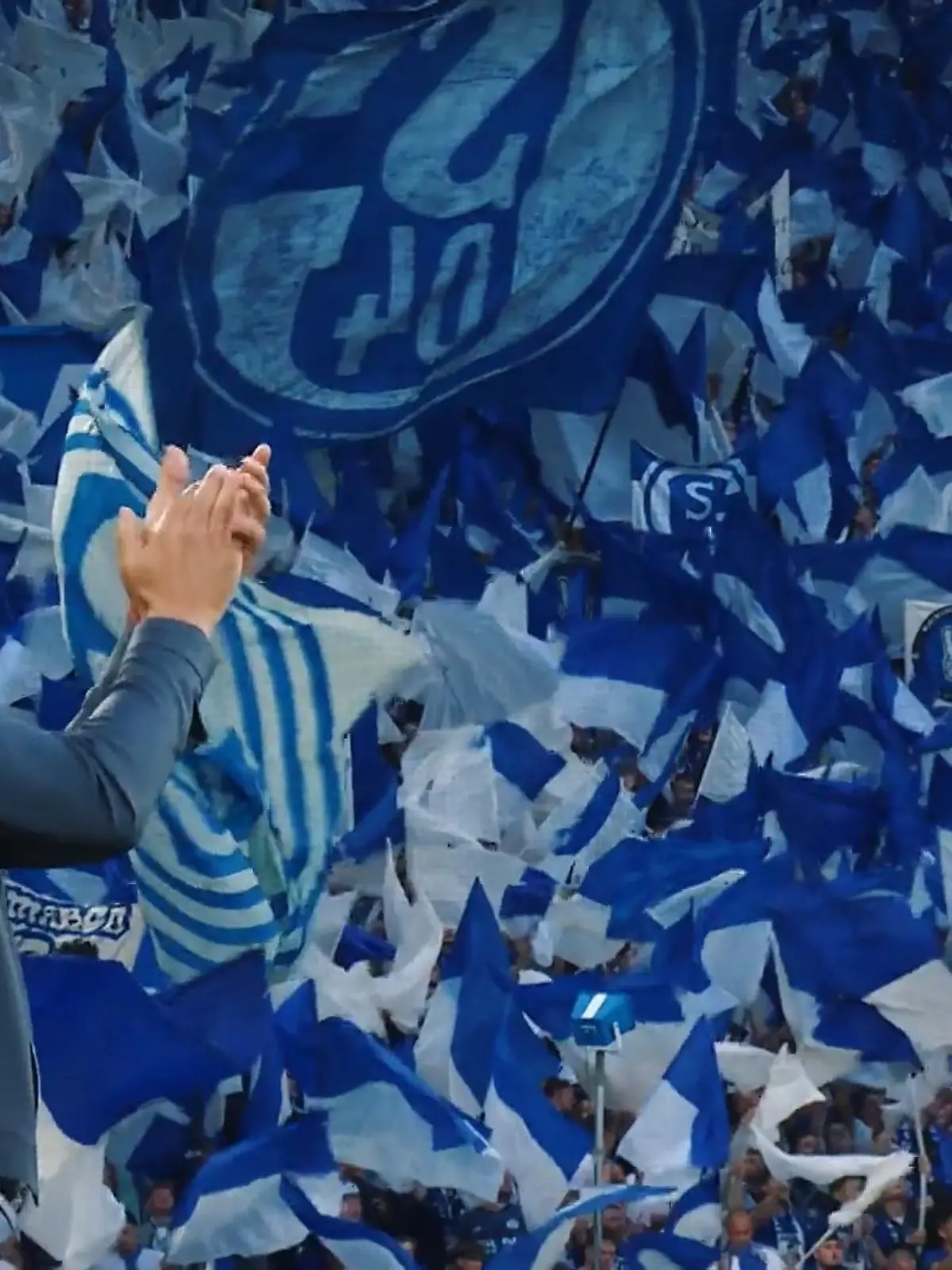 Bild zu: "Schalke 04 wieder in der Bundesliga – SO gelang das blau-weiße Fußballmärchen!"